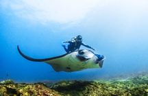 Diving in Nusa Penida