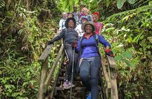7 Hours Wildlife Discovery Tour in Dominica