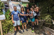 7 Hours Wildlife Discovery Tour in Dominica