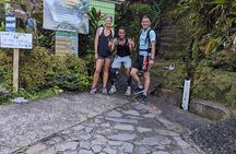 7 Hours Wildlife Discovery Tour in Dominica