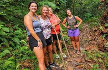 Mindfulness Rainforest Hike, Forest Bathing, Volcanic Hot Springs