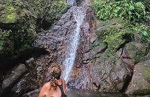 Rainforest Waterfall Hike with Rastafarian Nature Guide