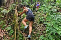 Rainforest Waterfall Hike with Rastafarian Nature Guide
