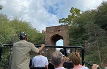 Two Night Safari Experience Ranthambore National Park &Transfers
