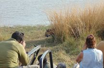 Two Night Safari Experience Ranthambore National Park &Transfers