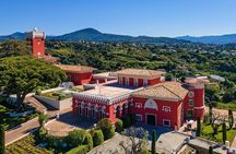 French Riviera, Wine tasting, Provencal market and Countryside