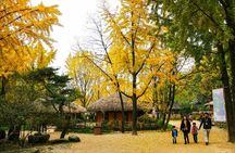 Private Day Trip to Korean Folk Village and Hwaseong Fortress