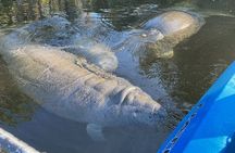 Private Chassahowitzka River Exploration kayak tour