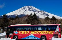 Mt. Fuji & Hakone Tour Tokyo hotel pick-up by Grayline