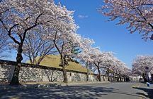 Gyeongju Best Customized Private Tour with Tourguide