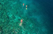 Snorkeling in Menjangan Island with Pickup and Lunch