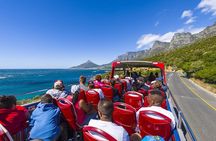 Cape Town Hop On Hop Off Bus and Seal Island Cruise Adventure