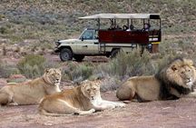 Sunset Big 5 Aquila Safari Snacks and Wine Tasting