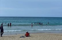 Private Buggie Tour of Macao Beach in Punta Cana