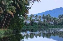 Kumarakom Explore Backwaters & Birds at Coconut Lagoon Pick&Drop