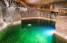 Auschwitz-Birkenau and Salt Mine with private transportation