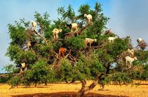 private tour : full day trip from Marrakech to Essaouira