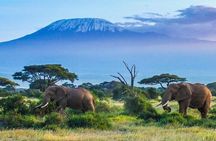 7-Day Kilimanjaro Climb Machame Route 