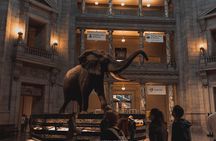 Two Smithsonian Museums Private Tour: American & Natural History