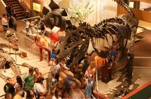 Two Smithsonian Museums Private Tour: American & Natural History