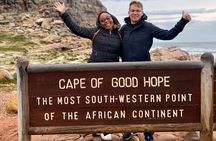 Private Tour: Cape of Good Hope, Chapman’s Peak Drive, Penguins