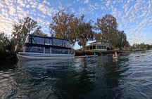 Kings Bay Manatee Watching Cruise