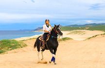 UTV, Free Horseback Ride & Sky Bikes Adventure Combo