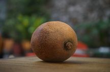 Fruit Tasting Experience in Getsemani, Cartagena