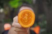 Private Getsemani Family Fruit Experience in Cartagena