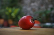Private Getsemani Family Fruit Experience in Cartagena
