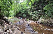 Tour to a waterfall and Embera village with lunch included
