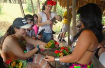 Tour to a waterfall and Embera village with lunch included