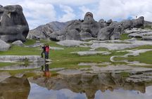 Lyttelton Shore Excursion - Inland Canterbury & Castle Hill Tour 