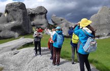 Lyttelton Shore Excursion - Inland Canterbury & Castle Hill Tour 
