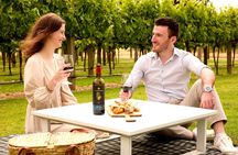 Picnic and Wine Tasting Experience in the Barossa Valley