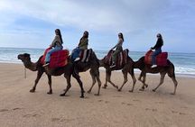 Tangier Tour from Casablanca by High Speed Train