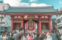 Tokyo City and Ashikaga Flowers Park or Kawagoe Private Day Tour 