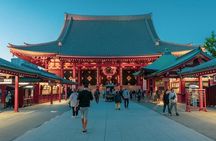 Tokyo City and Ashikaga Flowers Park or Kawagoe Private Day Tour 