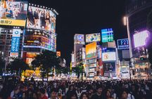Full Day Tokyo Private Tour by Luxury Vehicle