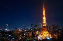 Full Day Tokyo Private Tour by Luxury Vehicle