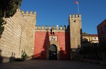 Small Group Tour of the Royal Alcazar of Seville