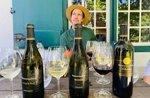 Constantia Wine Walk Storytelling Vineyard Tour with Lunch