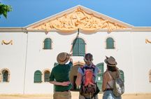 Constantia Wine Walk Storytelling Vineyard Tour with Lunch