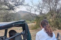 Delhi to Sariska National Park: A Thrilling Wildlife Excursion