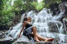 Ubud : Waterfall, Temple & Rice Terrace Guided Tour