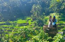 Mount Batur Sunrise Jeep, Waterfall & Rice Terrace Tour