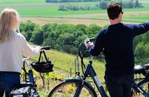 From Reims afternoon e-bike tour, visit and champagne tastings