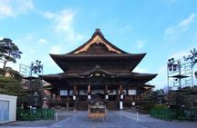  Snow Monkey Park & Zenkoji Temple Nagano Pvt. Full Day Tour.