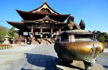  Snow Monkey Park & Zenkoji Temple Nagano Pvt. Full Day Tour.