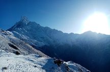 Private Tour 5 Day Mardi Himal Trek